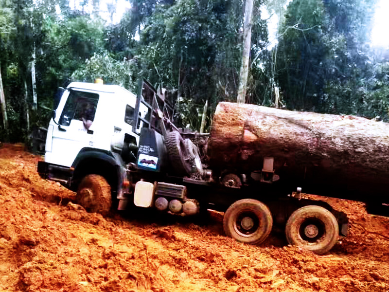 原木车在林区雨后恶劣工况下工作